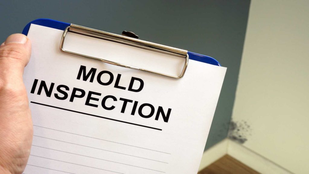 A Mold Inspection Clipboard - Mold Inspection Services - SERVPRO Of West Pensacola - 3345 Addison Dr, Pensacola, FL 32504 - 850 469 1160 -servprowestpensacolafl.com
