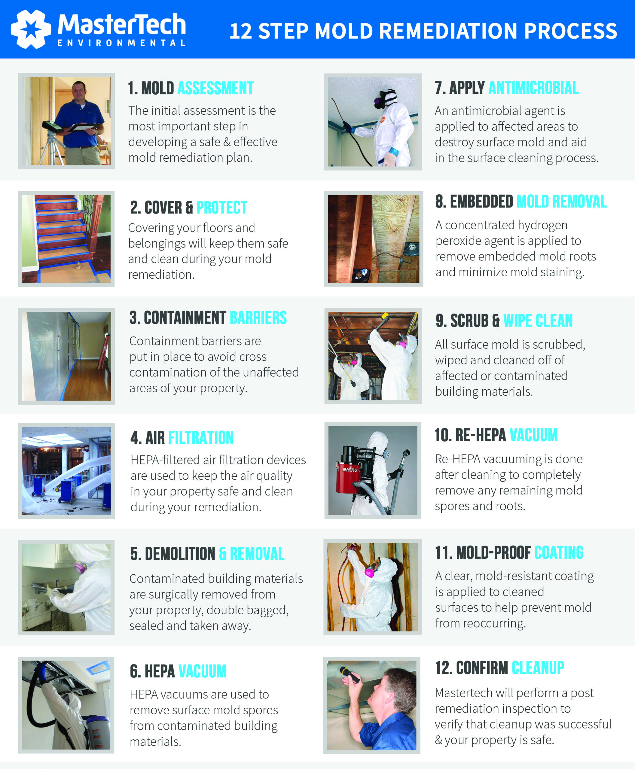 Effective Methods for Mold Remediation