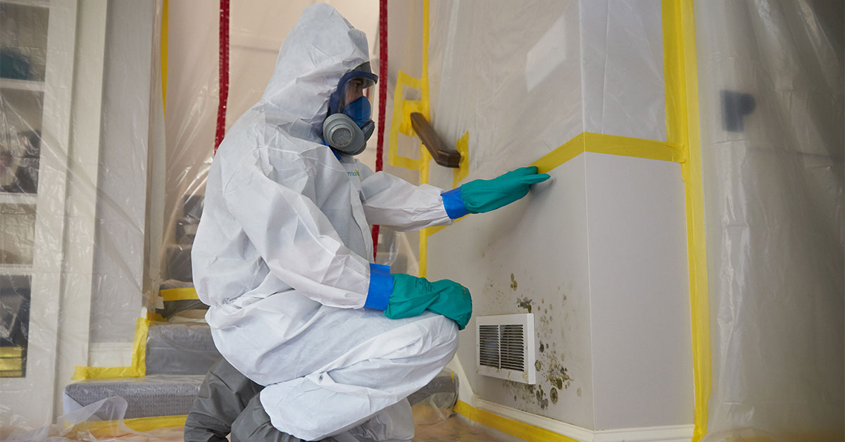 The Importance of Hiring Professionals for Mold Remediation